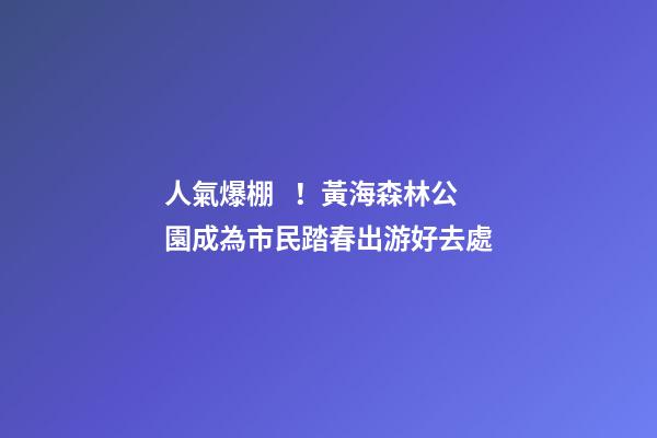 人氣爆棚！黃海森林公園成為市民踏春出游好去處